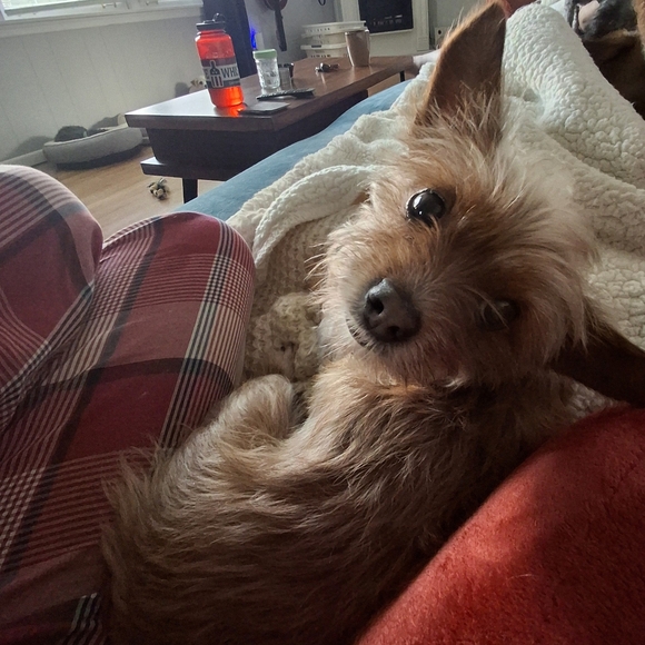 Meet Your Posher - Picture 2 of 7